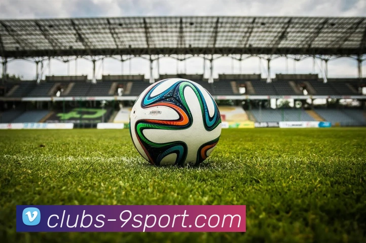 九游体育官网平台生态图